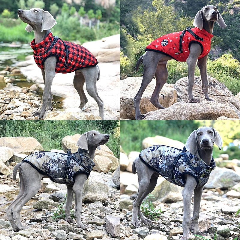 SecureFit Dog Jacket