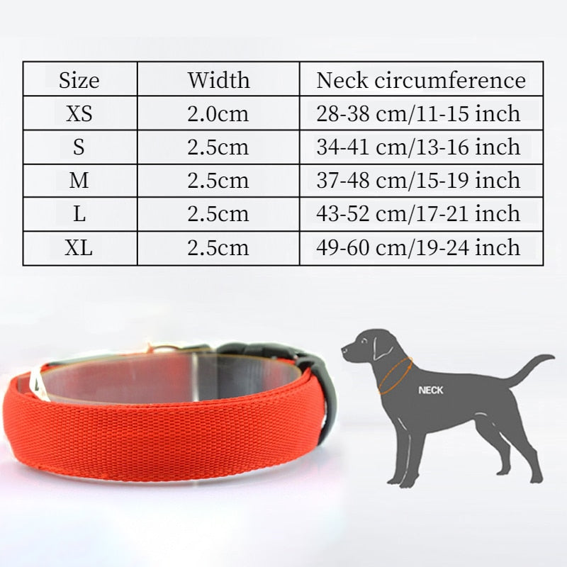GlowBeam Pet Collar