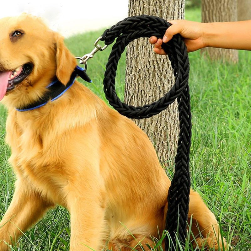 TitanTrek Dog Leash