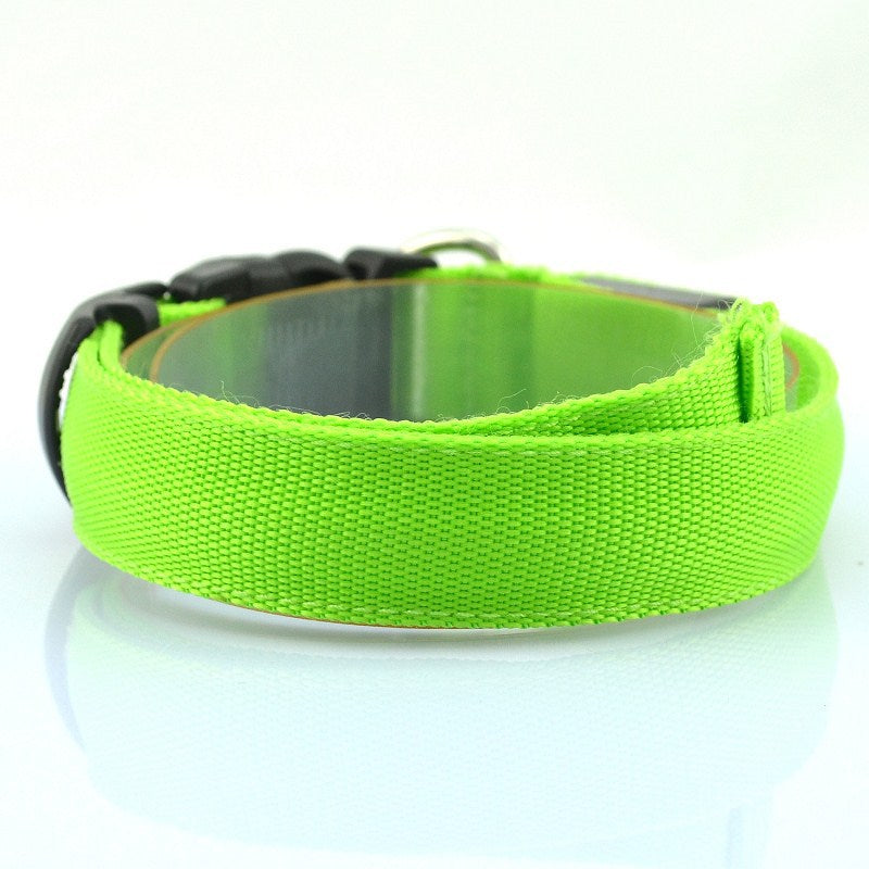 GlowBeam Pet Collar