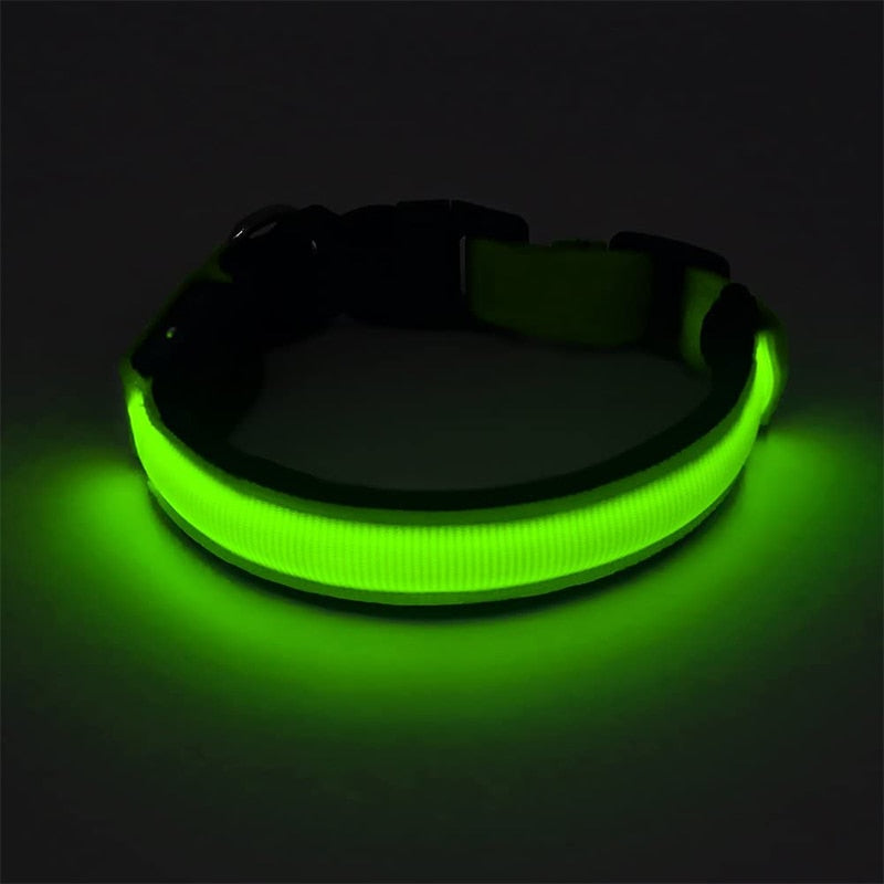 GlowBeam Pet Collar