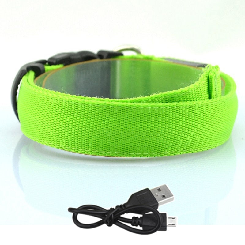 GlowBeam Pet Collar