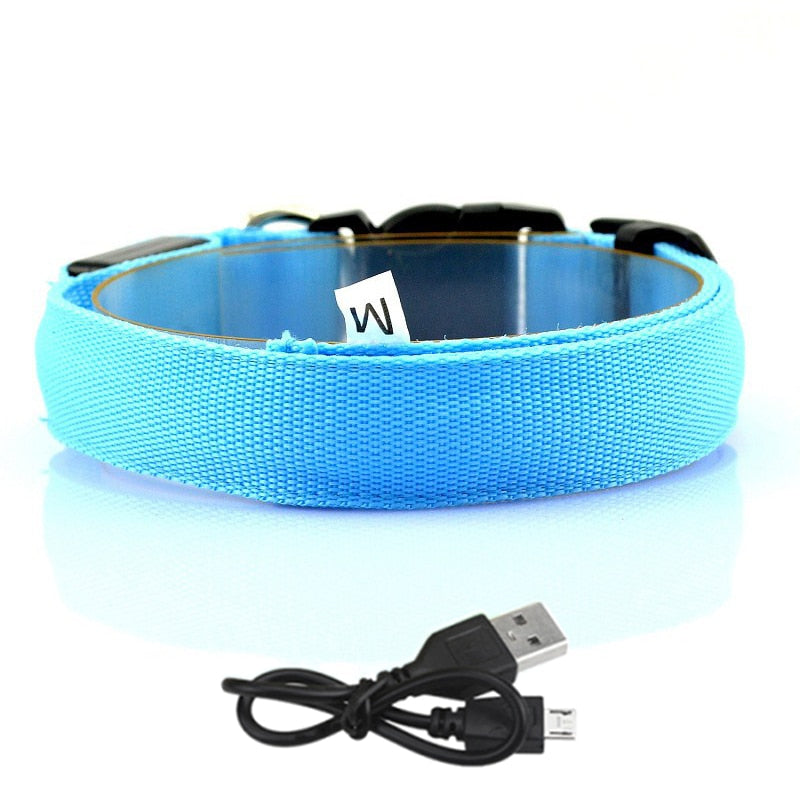GlowBeam Pet Collar