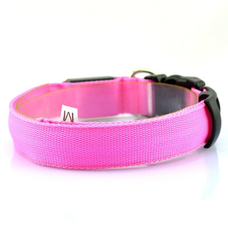 GlowBeam Pet Collar