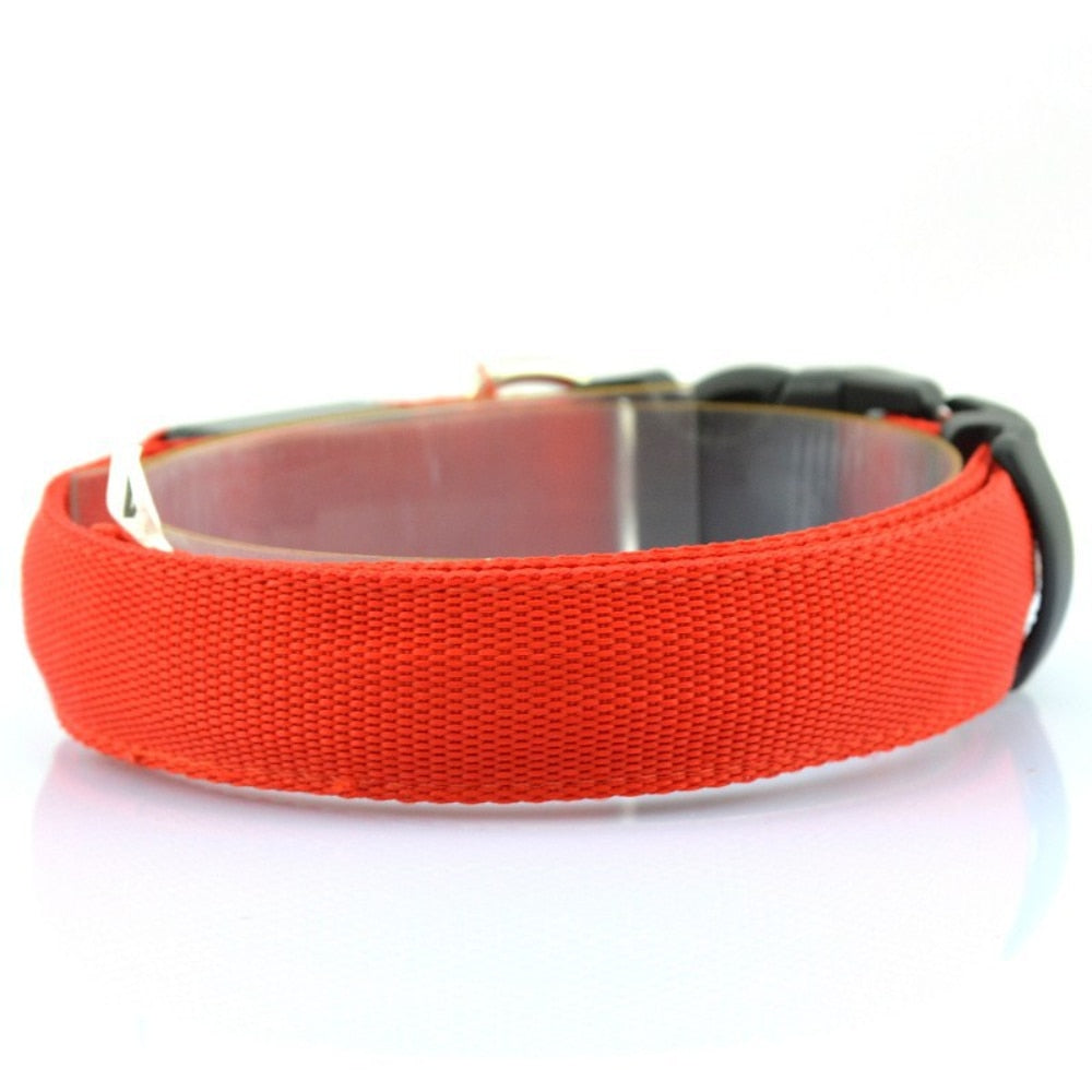 GlowBeam Pet Collar