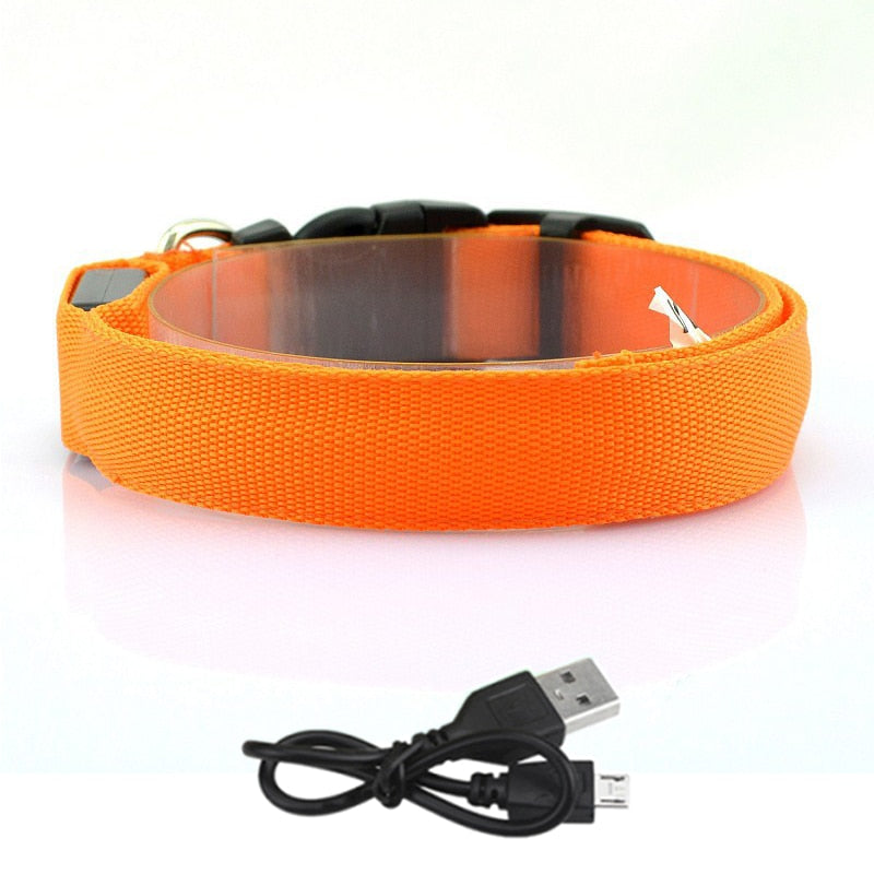GlowBeam Pet Collar