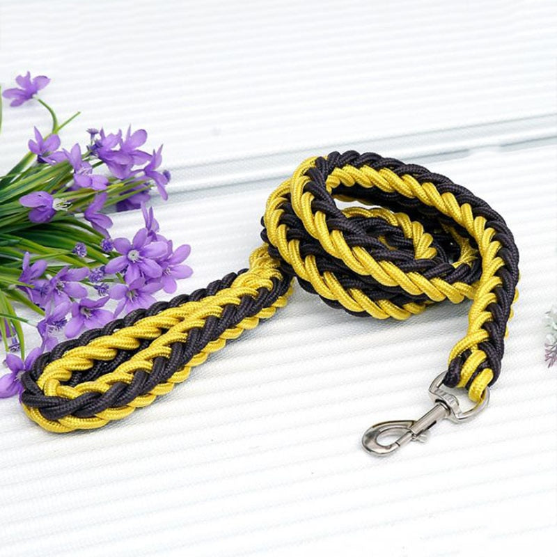 TitanTrek Dog Leash