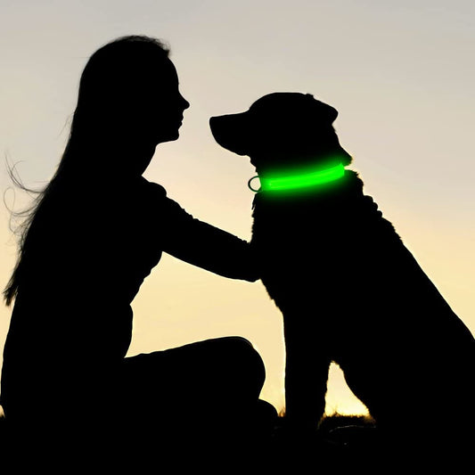 GlowBeam Pet Collar